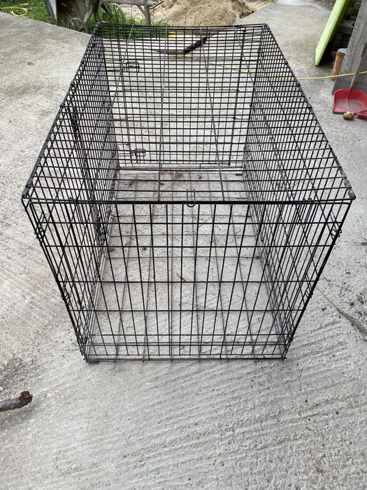 Cusca metalica (caini)animale