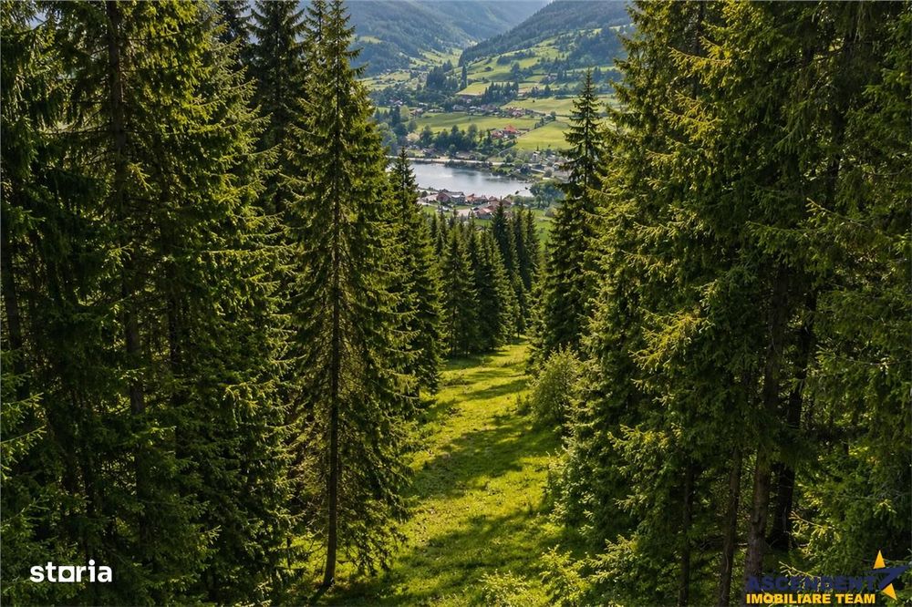 FILM!Teren 7.800mp,fosta partie de schi,investitie turisticaagrement,L