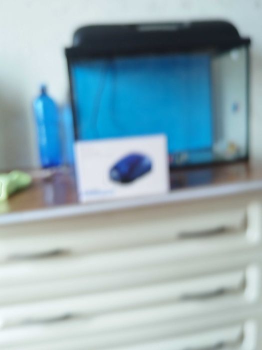 Растения искусственные