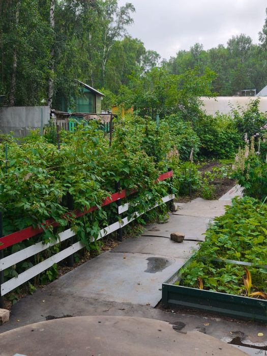 Срочно продам дачу