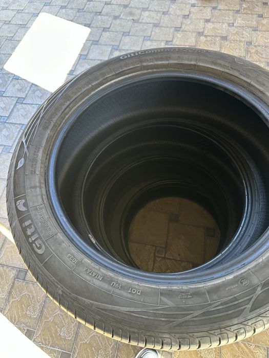 Шины byd chempion