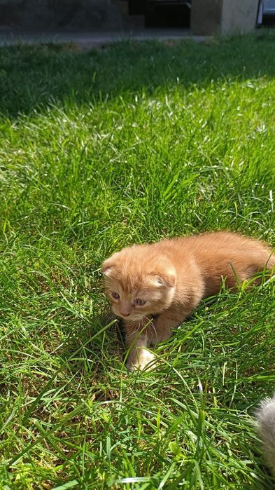 Бронируем,Веслоущки..