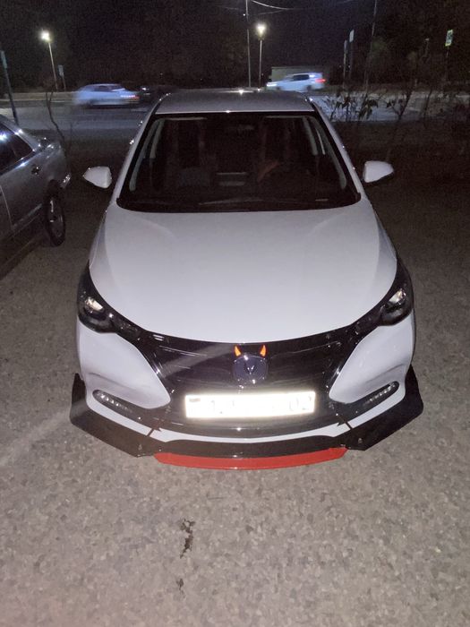 Шторки на Changan Alsvin