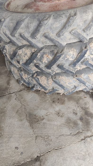 Продаются балоны вместе с дисками на трактор мтз Беларус в