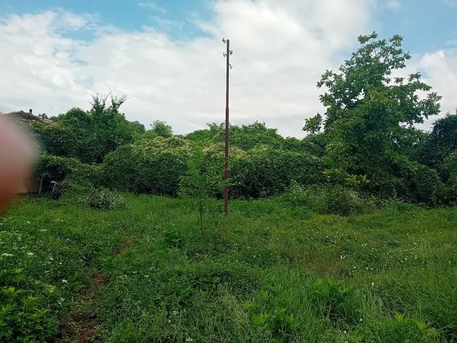Къща с двор 2,5 декара в село Ресен