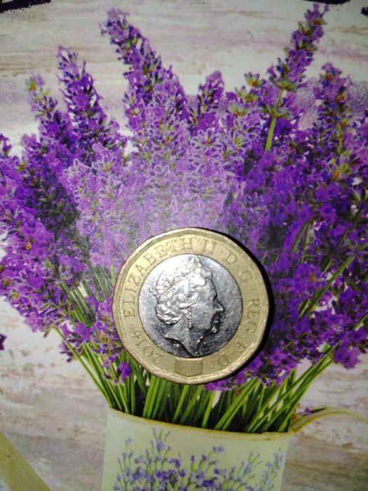 Moneda din 2016 , Regina Elisabeta