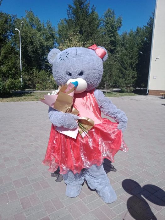 Продам Тедди мишку