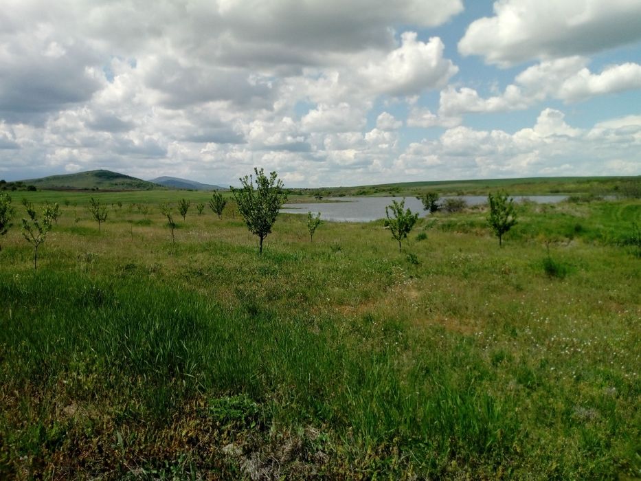 Продава се Земеделски имот в с. Сусам, Област Хасково -  кв.м за 702 €/дка - Снимка #2