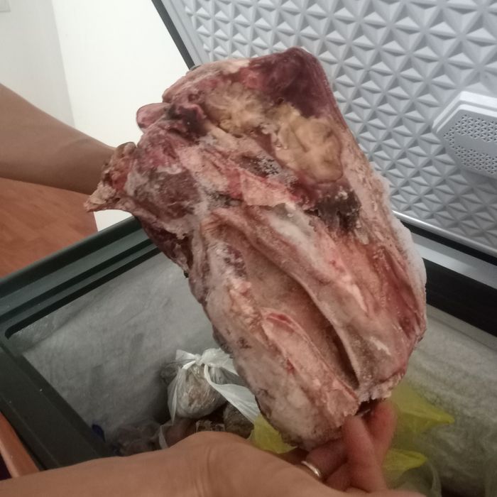 Сиыр басы сатылады