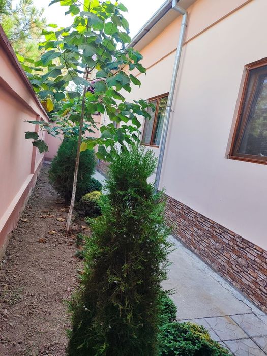 Бектемир тумани. Ийк-Ота 8 сотих.