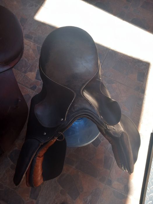 Vând șei călărie!