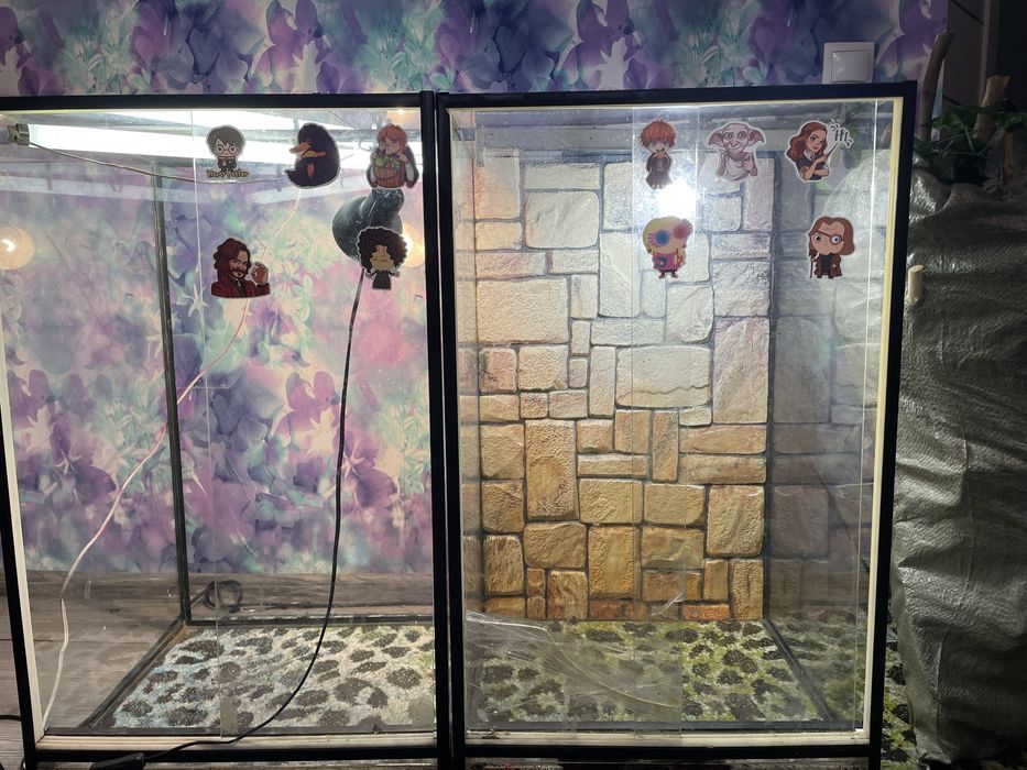 2 террариума с наполнением