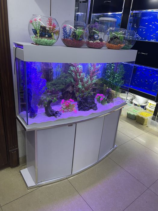 Akvarium 200 litrlik New