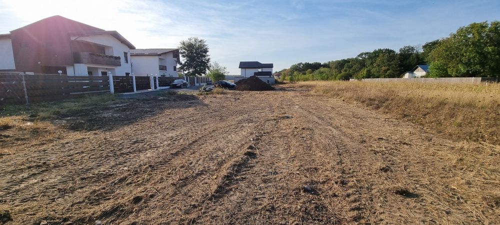 Teren padure Snagov Ciofliceni