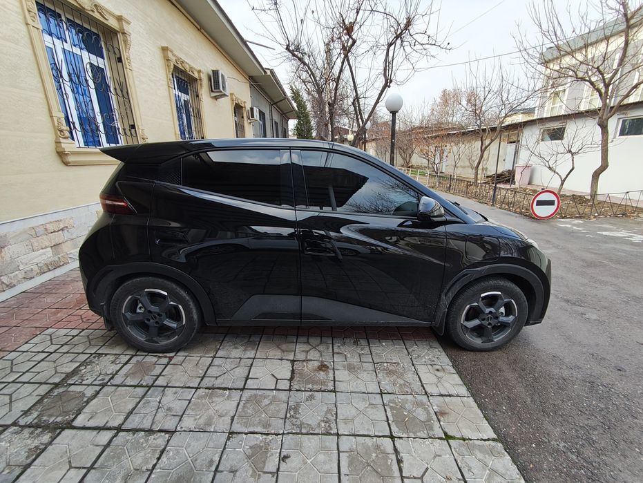 Byd seagull Flying 405 km Сигал фул