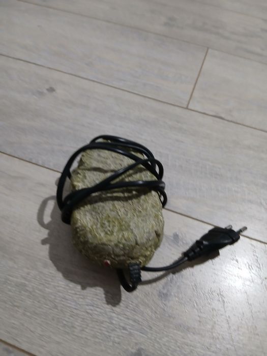 Vând un mascul de broasca testoasa