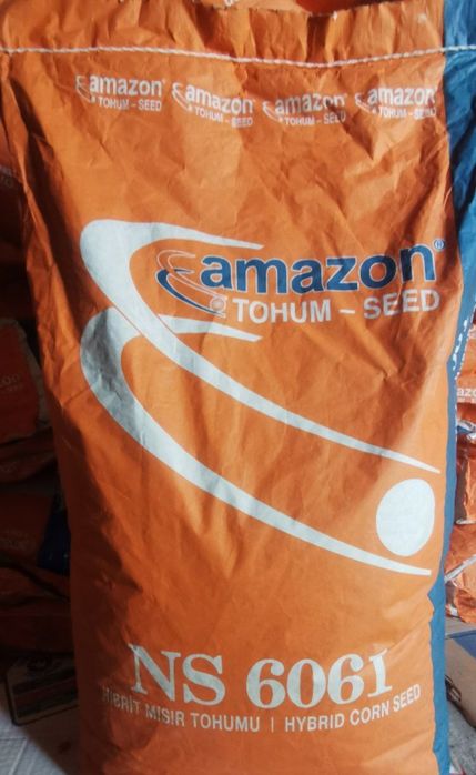 makkajohori urugi sotiladi