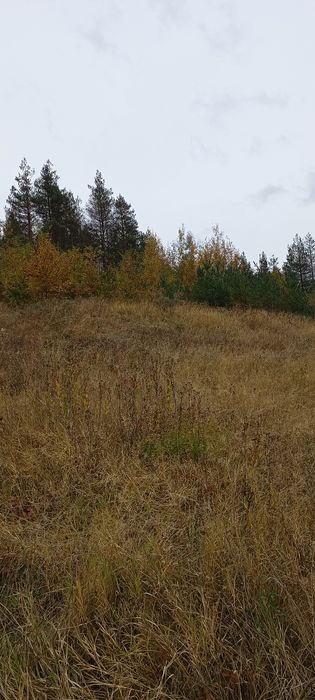 Продава се Земеделски имот в Смолян, в.з. Смолян -  кв.м за 1080 €/дка - Снимка #7