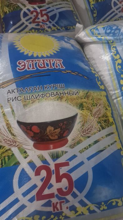 Күріш (Рис) Лидер, Элита, камолино