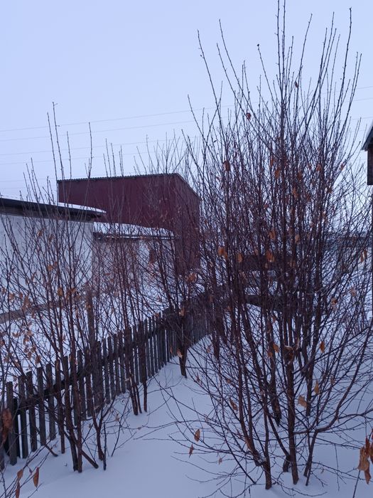 Продам дом мансардного типа