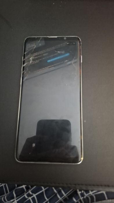 Samsung Galaxy S10+ Defect