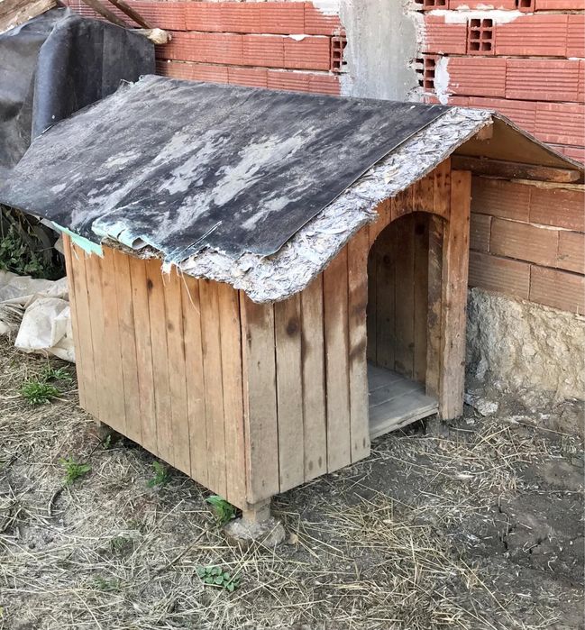 Масивна, голяма кучешка колиба