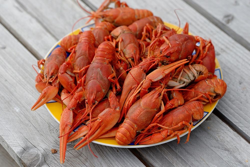 Свежие раки и крабы