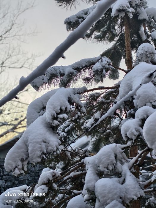 виво х 200 в отличном обмен