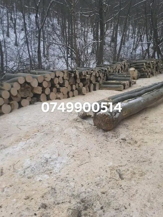 Lemne de foc la 350 lei metru esență tare cu transport gratuit