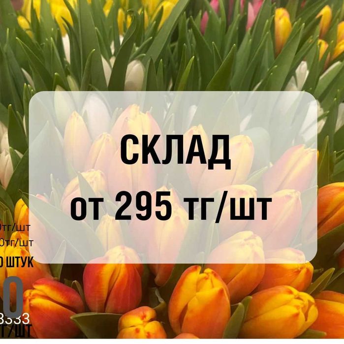 СКЛАД тюльпаны оптом и мелким оптом