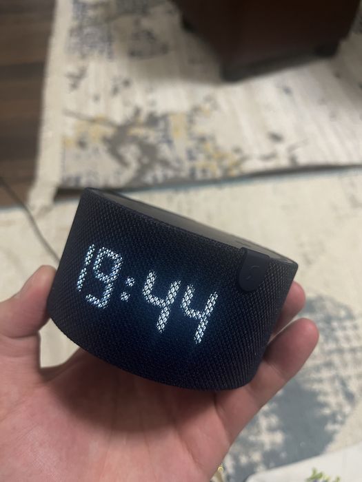 Алиса умни калонка