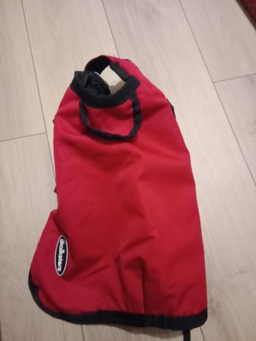 Haina catelus walksters