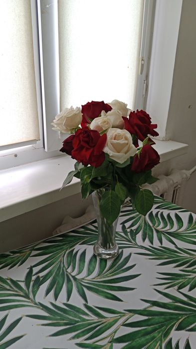 Сдаю однак квартиру