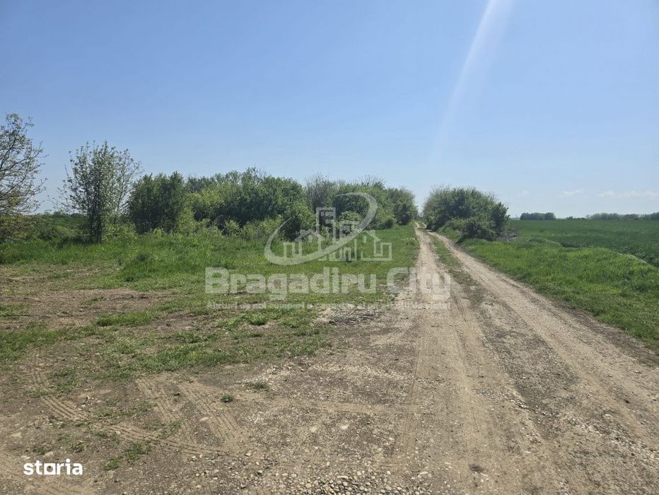 Teren ideal investitie Cornetu granita cu Clinceni
