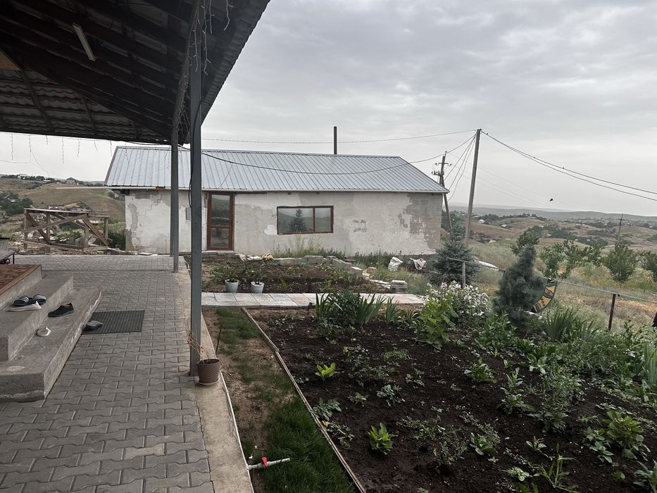 Фазенда для КРС и птицы