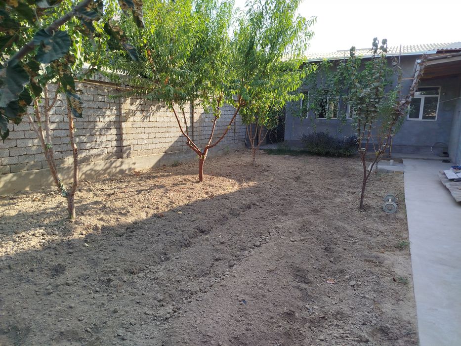 4 сотихли ховли сотилади