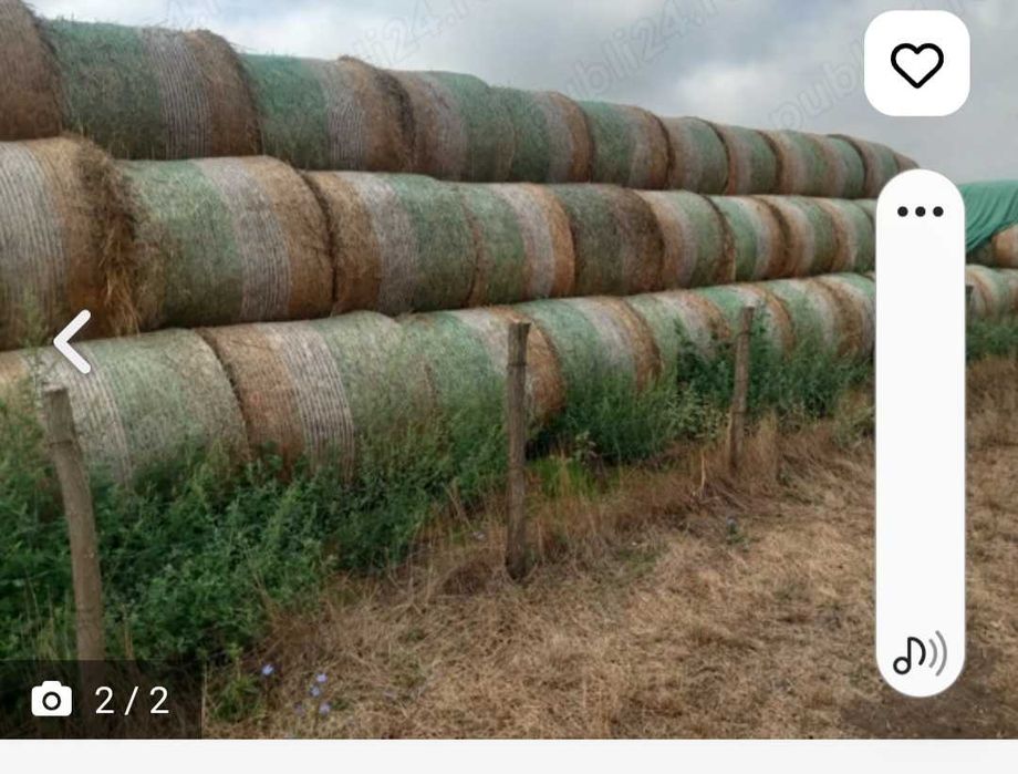 Vând baloți de paie de grâu si orz