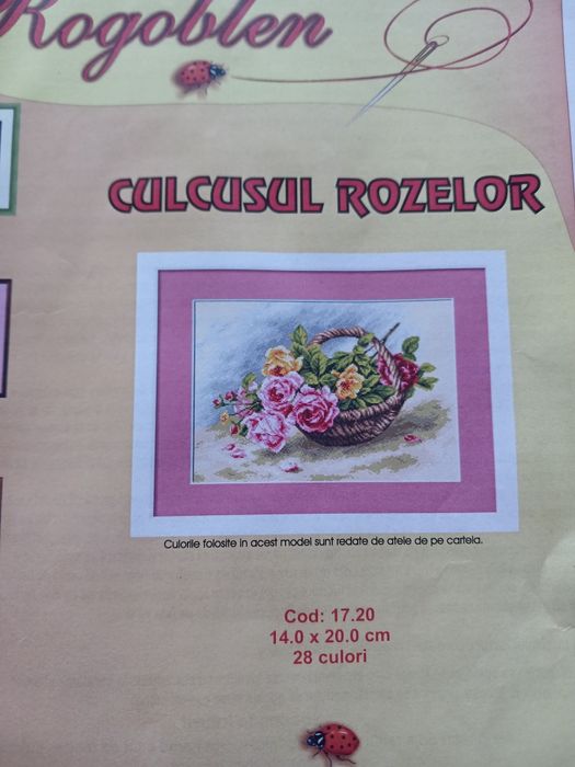 Diagrame cu ațe pentru goblen de Focșani