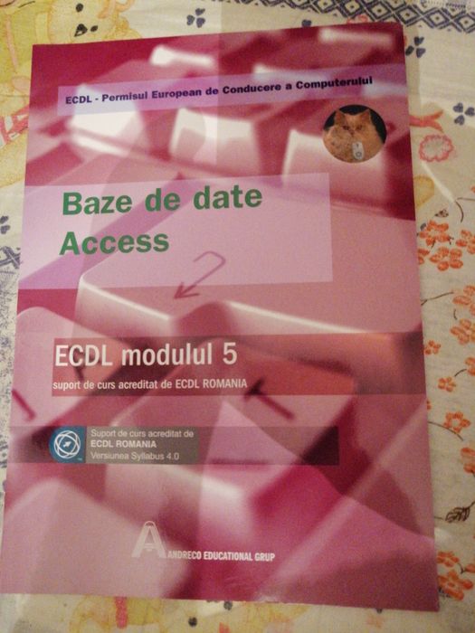 Manuale de informatica baze calculator