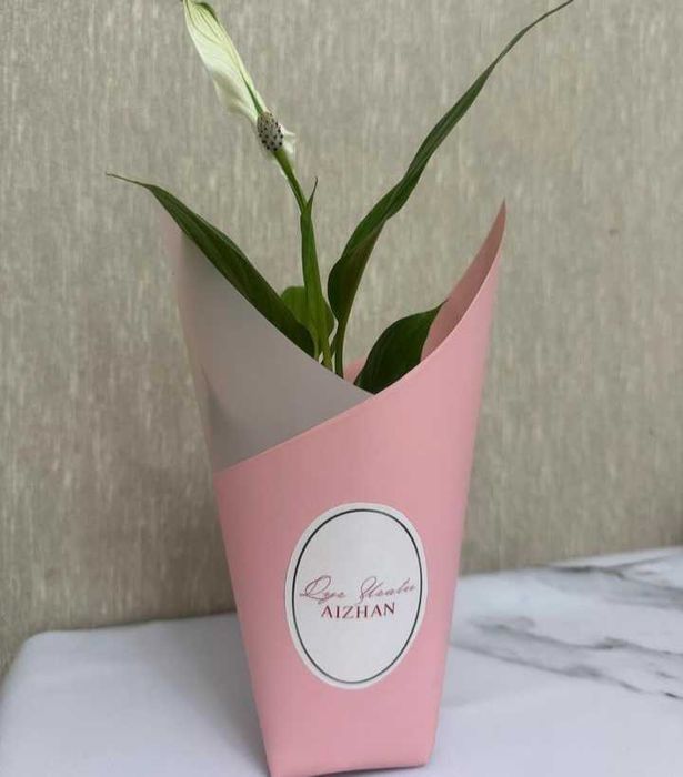 Тойбастар женское счастье