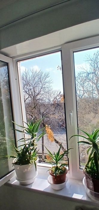 2/4/5 Буюк Ипак Йули Максим Горький 37м2 Средний ремонт Срочно