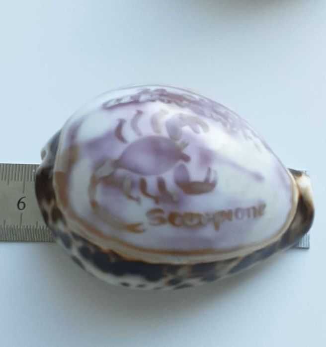 Melc tigru ghioc gravat zodie
