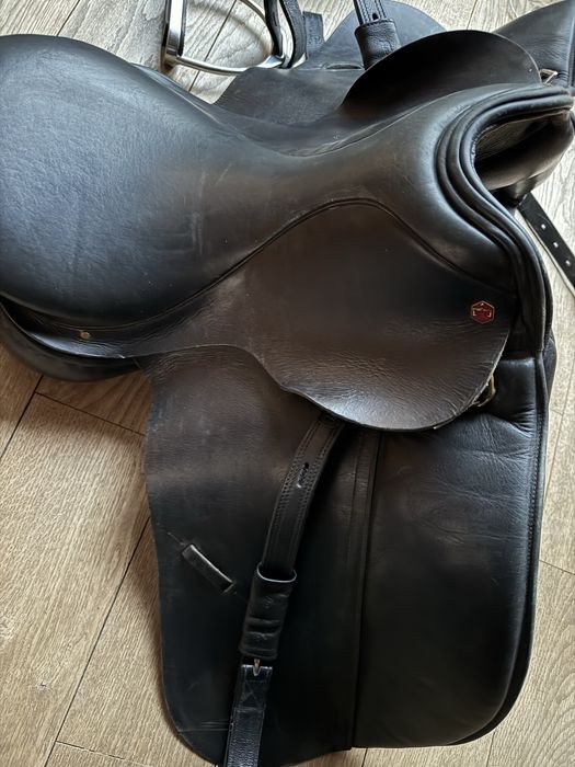 saua calarie/echitatie Albion model SL