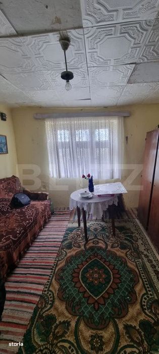 Casa cu doua corpuri,curte si gradina
