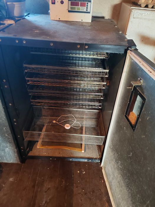 Инкубатор ИЛБ-0.5 на 600 яиц