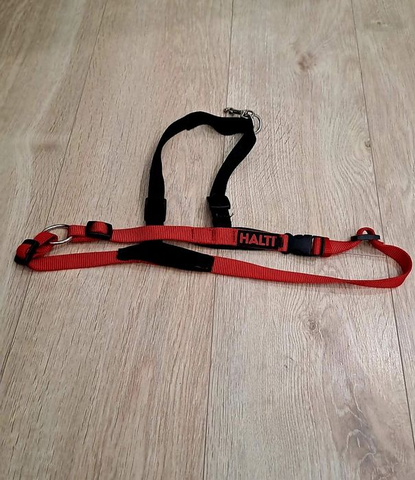 Lesa, ham si centura de masina pentru câine