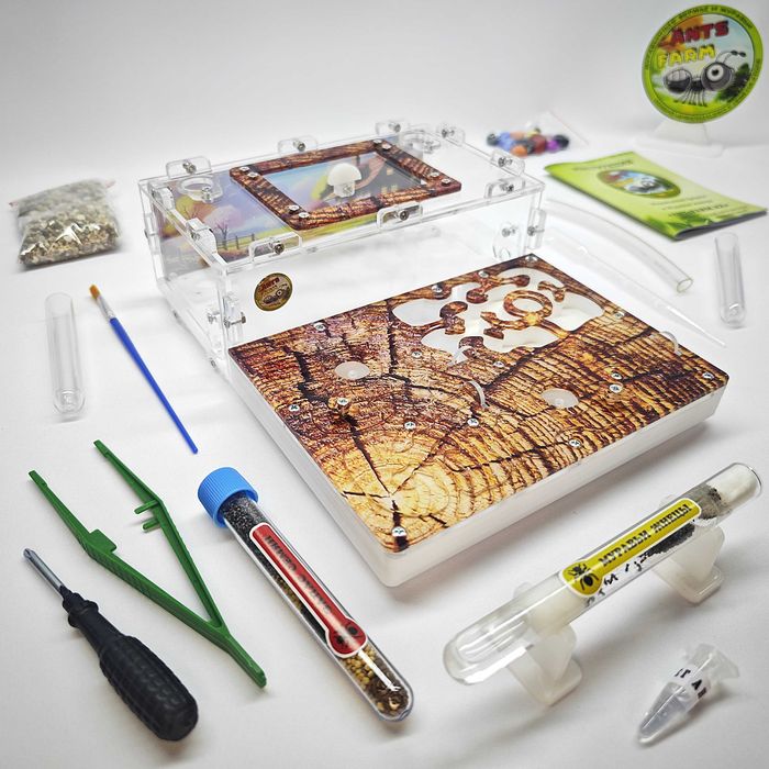 Муравьиная ферма - Муравьи жнецы ||| ГИПСОВЫЙ Формикарий "ADVANCED"