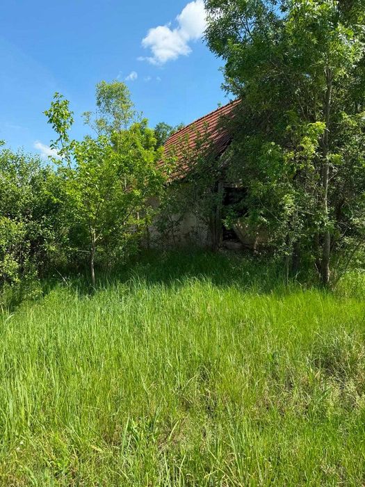 Proprietate 5.035 mp cu 3 case și teren intravilan – Mînerău, Arad