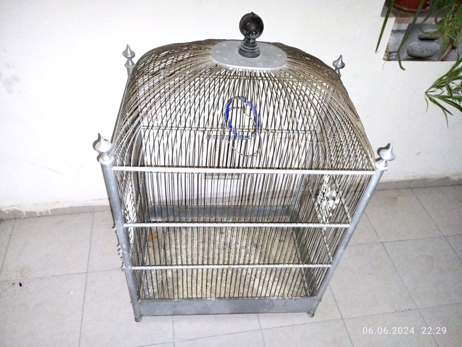 Тутикуш Сава канарейка ва бошка Катта кушларга буй 1 20 30х50