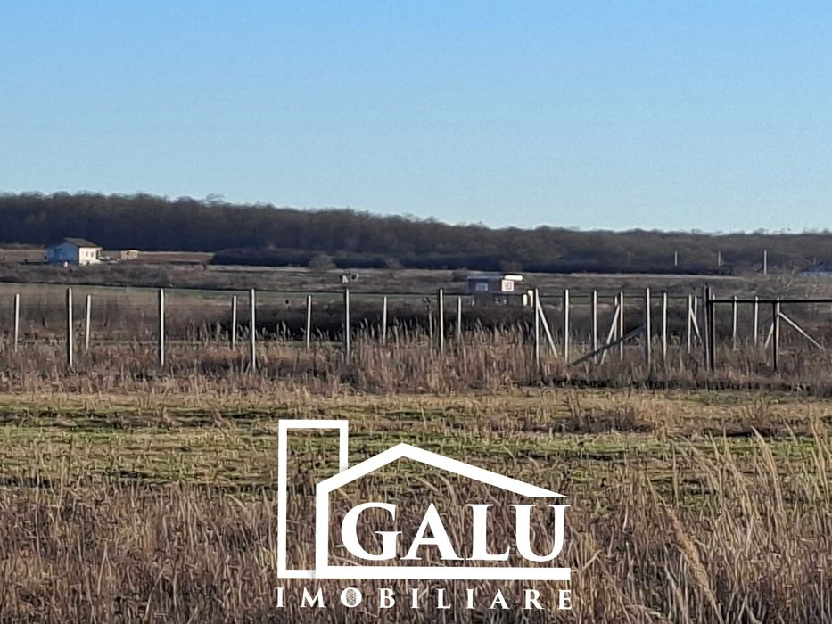 Teren constructii 800mp Cihei langa Oradea